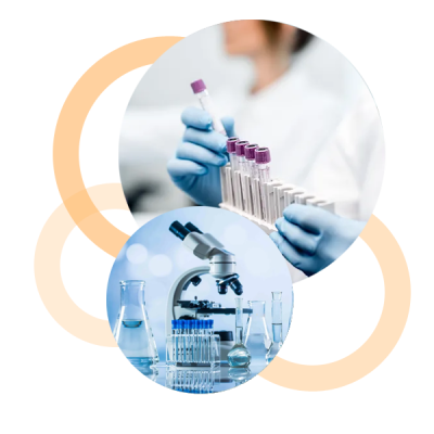 Sin-titulo2 Sin-titulo2